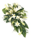 White Longiflorum Spray